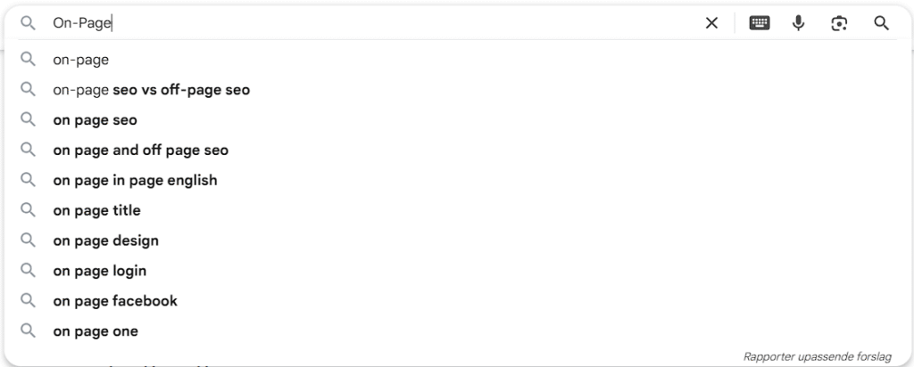 Ger ses hvad der kommer frem, når man Googler On-Page.